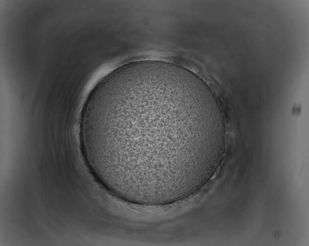 X0000102350006200808081205