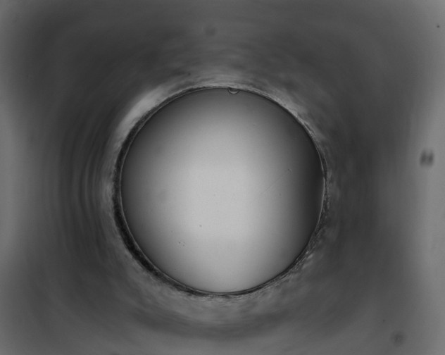 X0000102350007200808081205