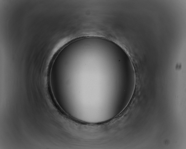 X0000102350008200808081205