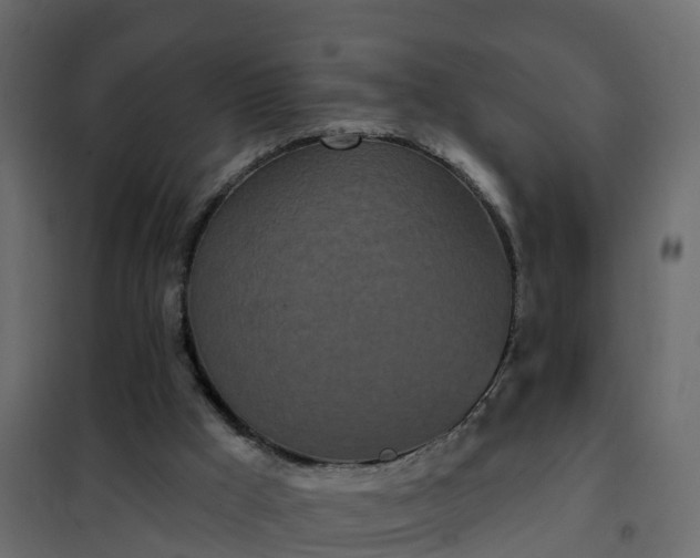 X0000102350009200808081205