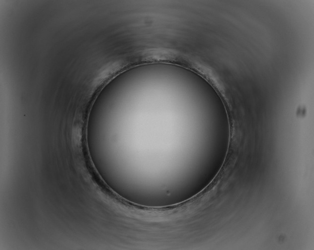 X0000102350010200808081205