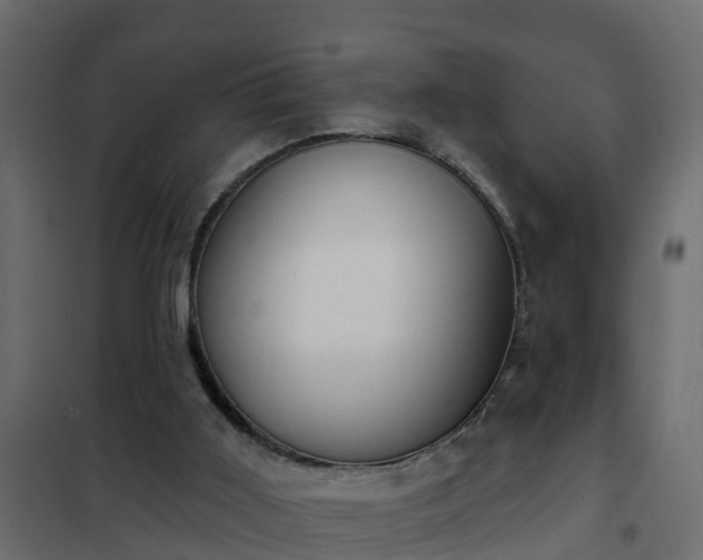 X0000102350011200808081205