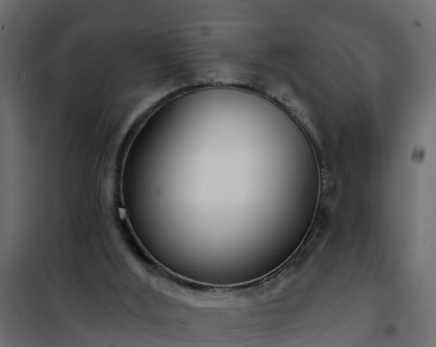 X0000102350012200808081205