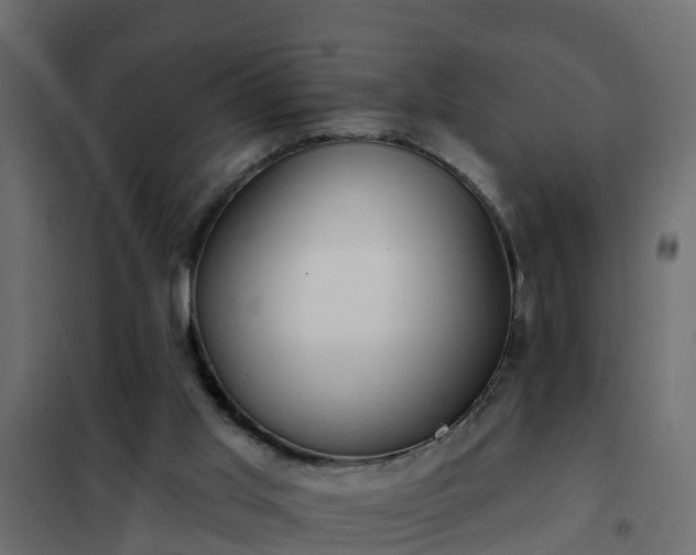 X0000102350013200808081205