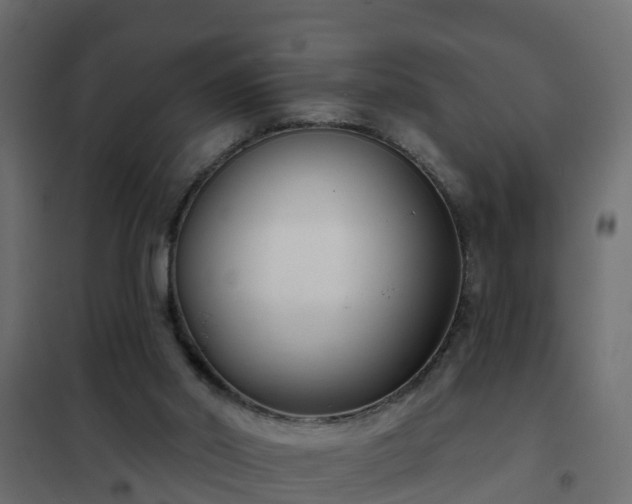 X0000102350014200808081205