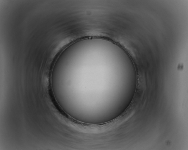 X0000102350015200808081205