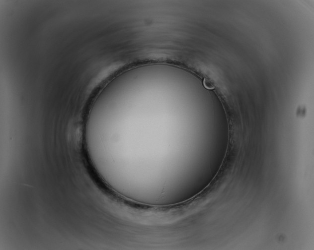 X0000102350016200808081205