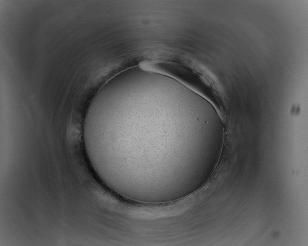 X0000102350017200808081205