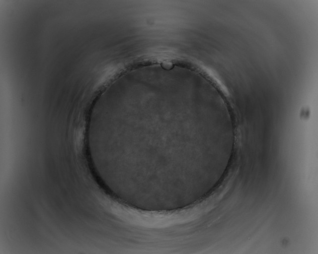 X0000102350018200808081205