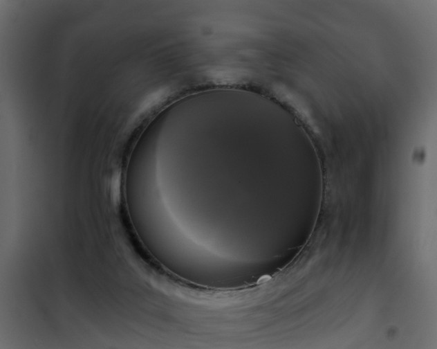 X0000102350019200808081205