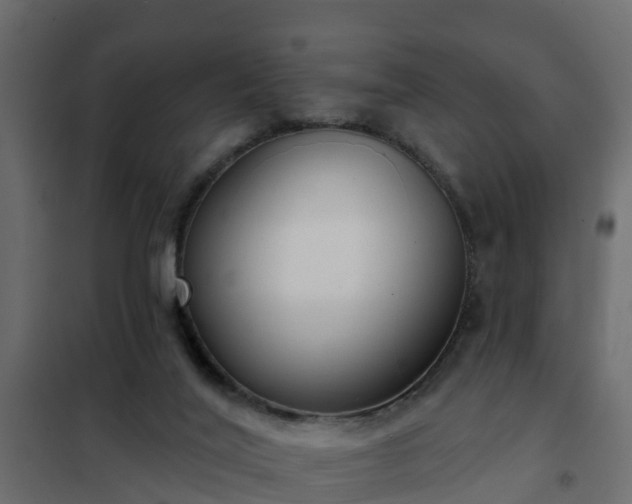 X0000102350020200808081205