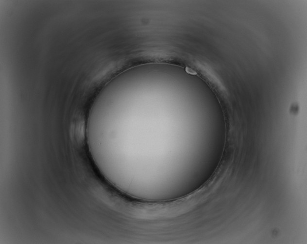 X0000102350021200808081205