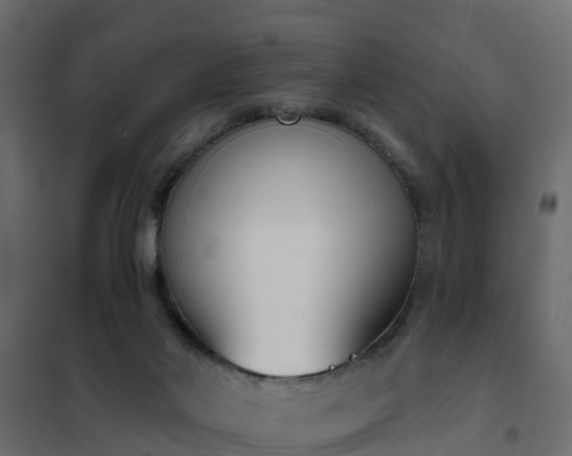 X0000102350022200808081205