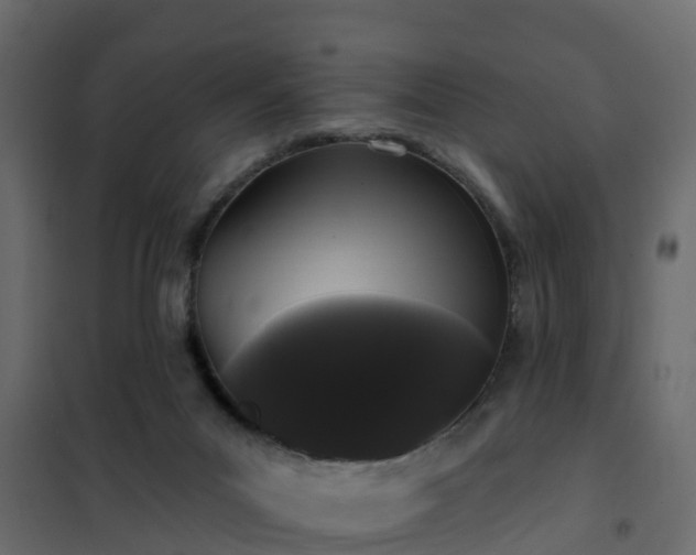 X0000102350023200808081205