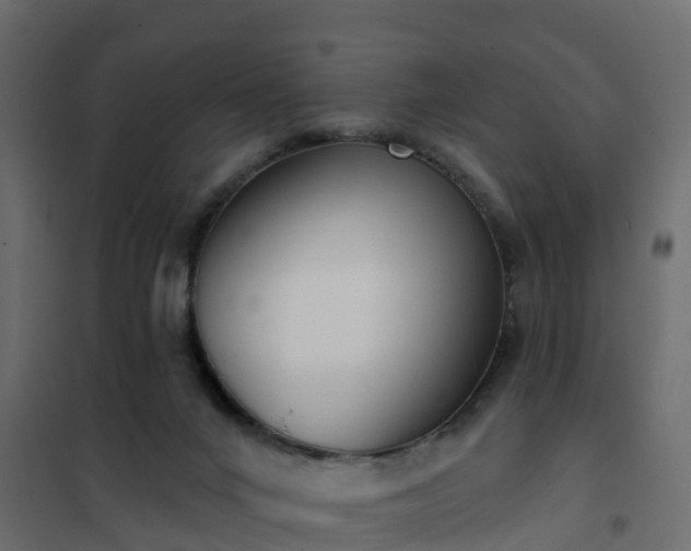 X0000102350024200808081205