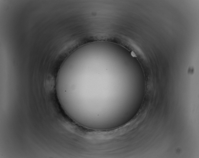 X0000102350025200808081205