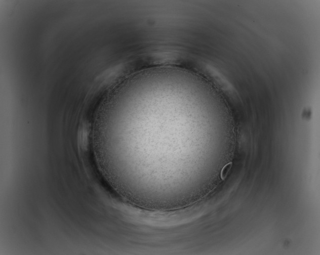 X0000102350026200808081205