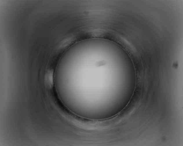 X0000102350028200808081205