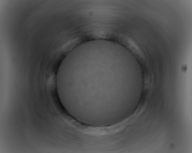 X0000102350029200808081205