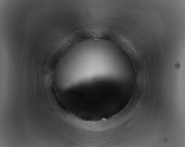 X0000102350030200808081205