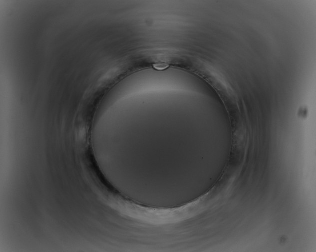 X0000102350031200808081205