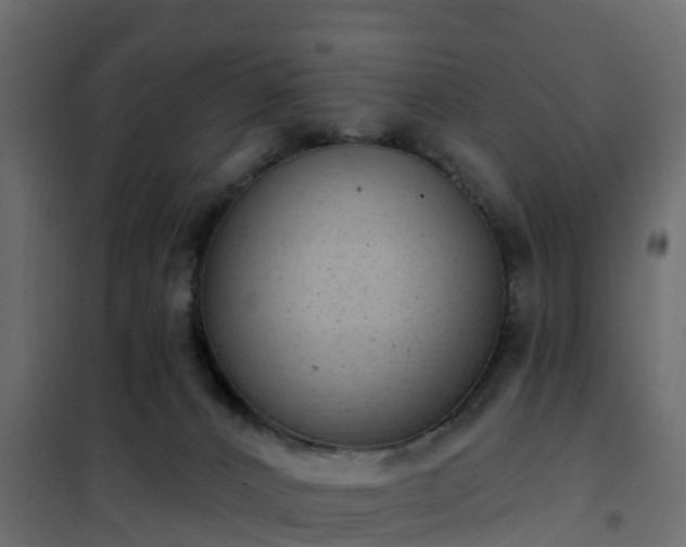 X0000102350032200808081205