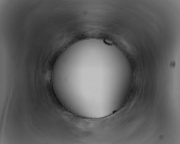 X0000102350033200808081205