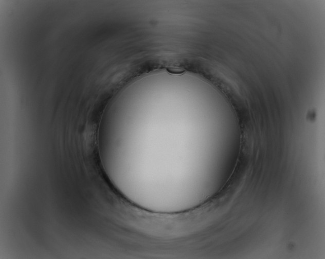 X0000102350034200808081205