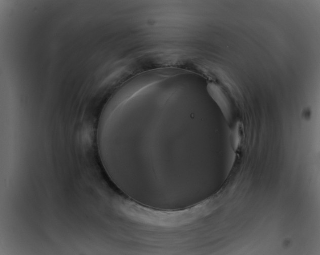 X0000102350035200808081205