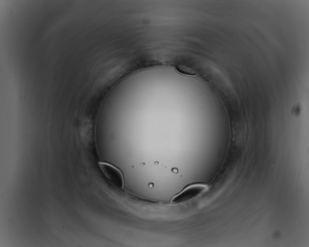 X0000102350036200808081204