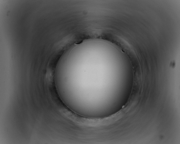 X0000102350037200808081204