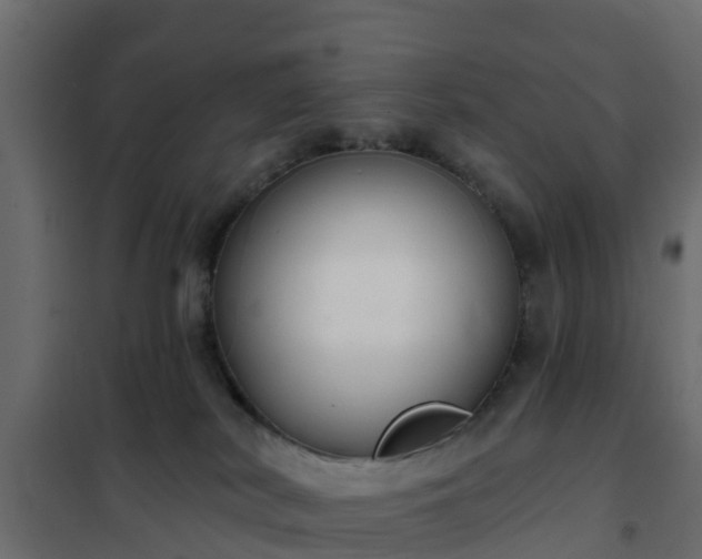 X0000102350038200808081204