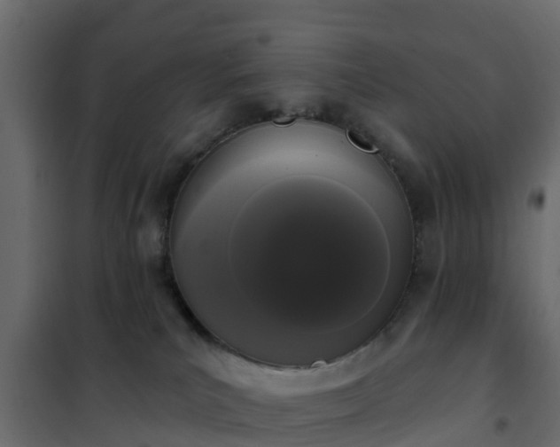 X0000102350039200808081204