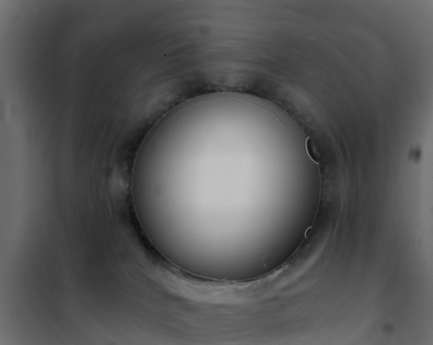 X0000102350040200808081204