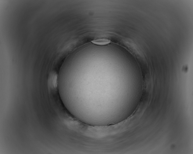 X0000102350041200808081204