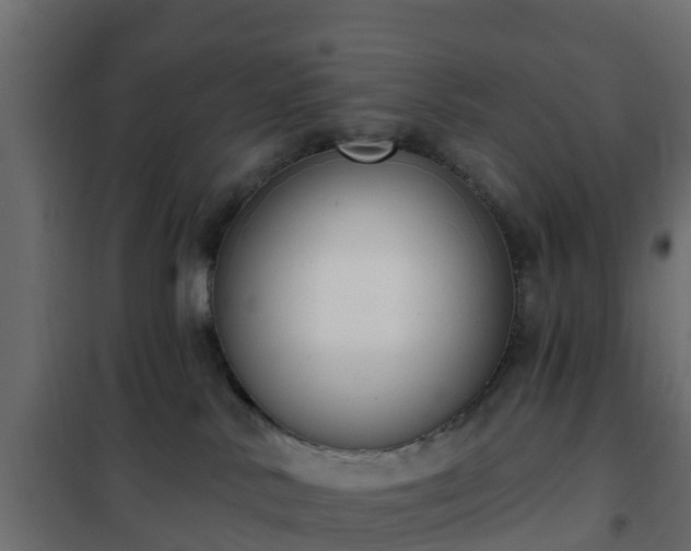 X0000102350042200808081204