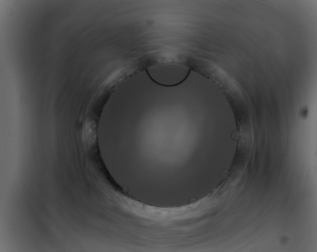 X0000102350043200808081204