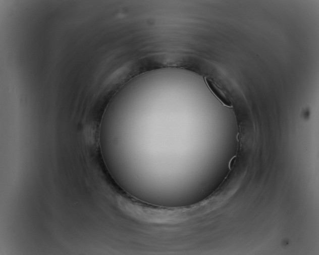 X0000102350044200808081204