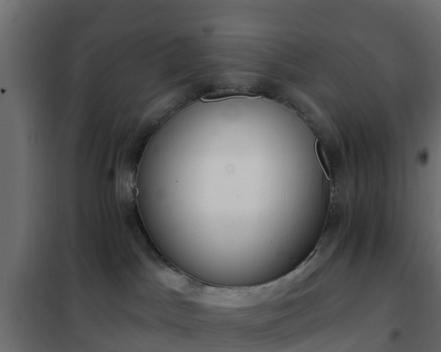 X0000102350045200808081204