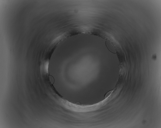 X0000102350047200808081204