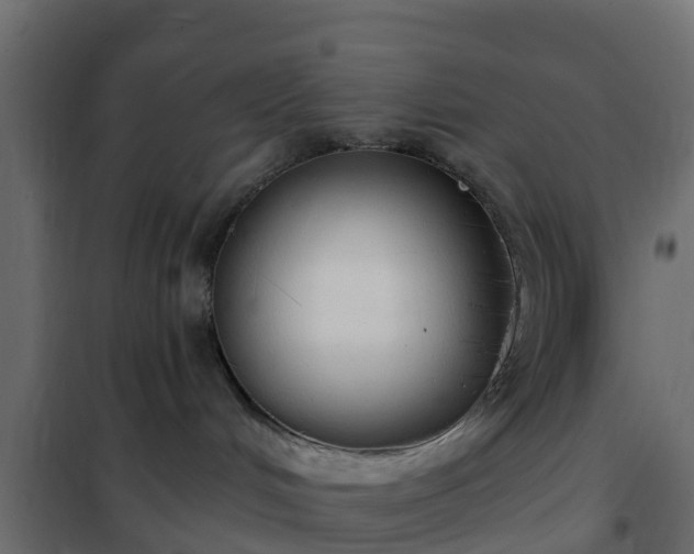 X0000102350048200808081204