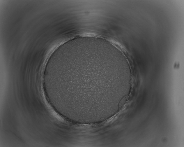 X0000102350049200808081204