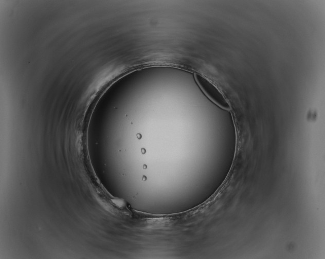 X0000102350050200808081204