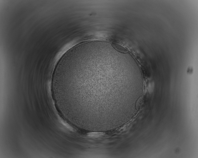 X0000102350051200808081204