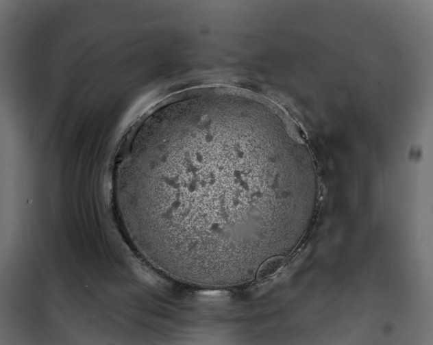 X0000102350053200808081204