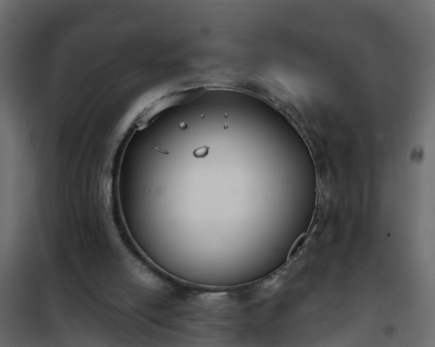 X0000102350054200808081204