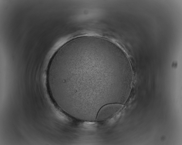 X0000102350055200808081204