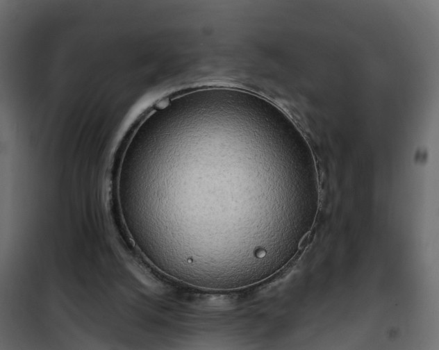 X0000102350056200808081204