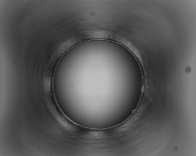 X0000102350057200808081204