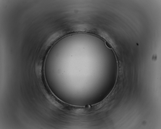 X0000102350058200808081204